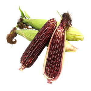 �g�E�����R�V �� �y ��a���[�W�� �z 5dl ( �g�E�����R�V�̎� )