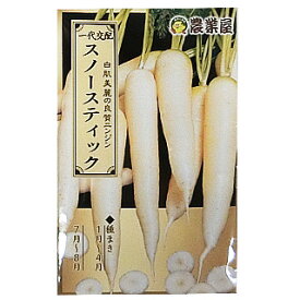 にんじん 種 【スノースティック】 小袋 （ 種 野菜 野菜種子 野菜種 人参）
