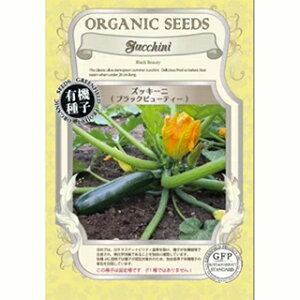 YbL[j  y ubNr[eB[iZ΁j z 2dl ( YbL[j̎ )