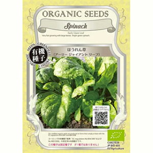 ق  y A[[WCAg[t z 2dl ( ق񑐂̎ )