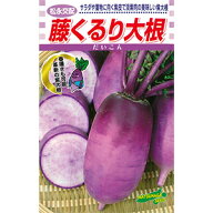 ダイコン 種 【 藤くるり 】 小袋（20ml） ( ダイコンの種 )