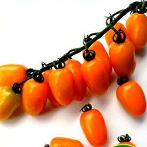 g}g  y ~jIWg}g@F1\[ z  ( g}g̎ )