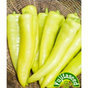 gEKV  y F1zbgWFV[ z  ( gEKV̎ )