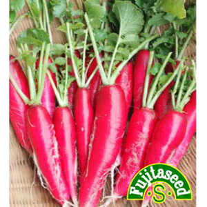 _CR  y ԃ_CR@[[I z  ( _CR̎ )