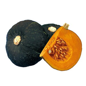 J{`  y Ou z ܁i100j ( J{`̎ )