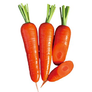 jW  y G z ybg1 ( jW̎ )