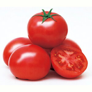 g}g  y TYv}hi z ܁i500j ( g}g̎ )