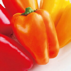 s[}  y J[s[}@v`[mIW z ܁i100j ( s[}̎ )