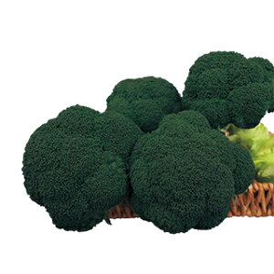 ubR[  y ͂ z ybg5痱 ( ubR[̎ )