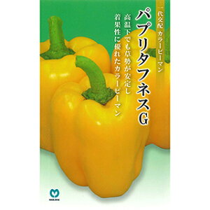 s[}  y pv^tlXG z ܁i5j ( s[}̎ )