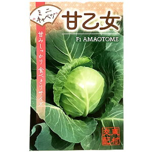 �L���x�c �� �y �~�j�L���x�c �É��� �z ��q ����