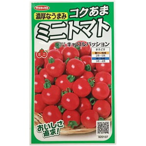 g}g  y ~jg}g LpbVi~jj z  ( g}g̎ )