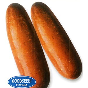 E  y ԖщZ z 1dl ( E̎ )