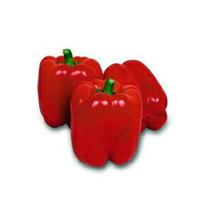 pvJ  yJ[s[} bh ipvJjz 10ml i   ؎q ؎ j