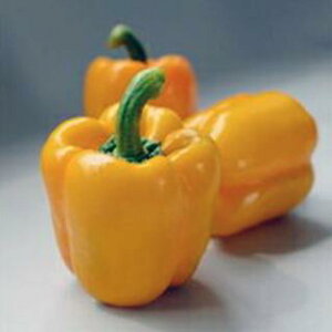 pvJ  yJ[s[} CG[ ipvJjz 10ml i   ؎q ؎ j