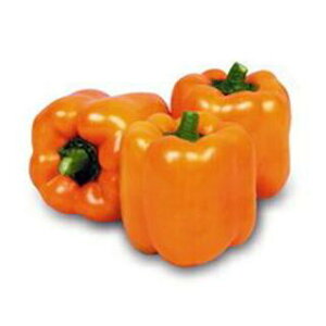 pvJ  yJ[s[} IW ipvJjz 10ml i   ؎q ؎ j