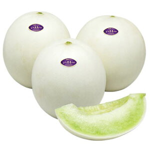   y nXL[ z ܁i7j ( ̎ )