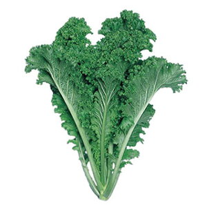 ؁E炵  y ߂t炵 z q ܁i20mlj i   ؎q ؎ j