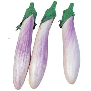 iX  y ނ炳 z ܁i30j ( iX̎ )