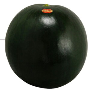 XCJ  y ȂXCJ ׂق z  ( XCJ̎ )