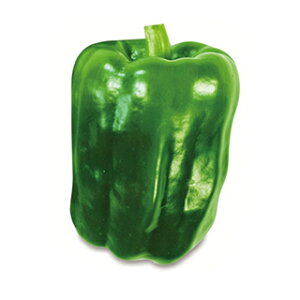 s[}  y JtHjA_[ z  ( s[}̎ )