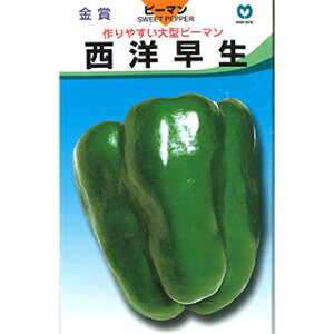 s[}  y ms[} z ܁i1mlj ( s[}̎ )