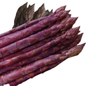 AXpKX  y p[v^[ z  ( AXpKX̎ )