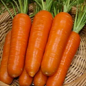 jW  y l z 20ml ( jW̎ )