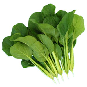   y Ă̏؁iYj z  ( ؂̎ )