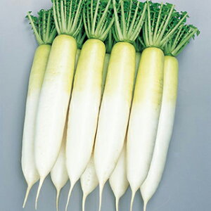 _CR  y ~݂2 z L_l8000 ( _CR̎ )