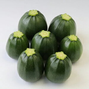 YbL[j  y p[mEl z 100 ( YbL[j̎ )