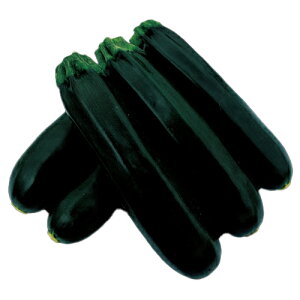 YbL[j  y XO[V z 100 ( YbL[j̎ )