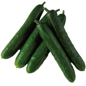 LE  y łȂȂ z 350 ( LE̎ )