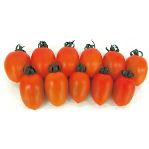 g}g  y IW z 100 ( g}g̎ )