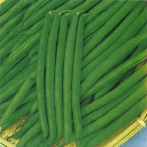 CQiȂj  y O[gbv z 1L ( CQiȂj̎ )