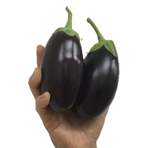 iX  y iX}}î܂deiXj z 100 ( iX̎ )