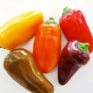 s[}  y Ղs[v@bh z 100 ( s[}̎ )