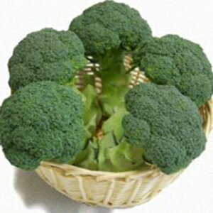 ubR[  y xtH[Q z  ( ubR[̎ )