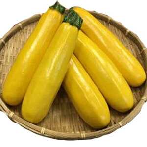 YbL[j  y GmA z 100 ( YbL[j̎ )