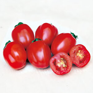 ~jg}g  y LfB|bv [W z 100 ( ~jg}g̎ )