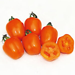 ~jg}g  y LfB|bv }_ z 100 ( ~jg}g̎ )