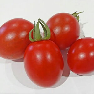 ~jg}g  y WOg}g z 100 ( ~jg}g̎ )