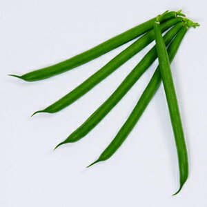 CQ  y S[fi[ z 痱 ( CQ̎ )