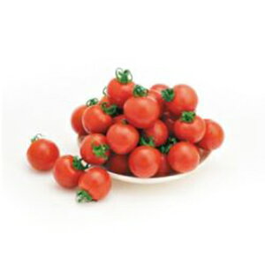 �~�j�g�}�g �� �y �ق�܂� �z 100�� ( �~�j�g�}�g�̎� )