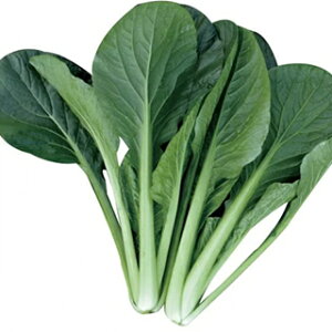   y Ă̍bq z 1L ( ؂̎ )