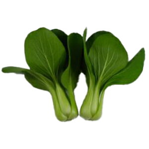 `QTC  y jCnIEC z R[g5痱 ( `QTC̎ )