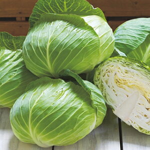 Lxc  y SP z L5痱 ( Lxc̎ )