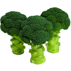 ubR[  y h[c[ z 20ml ( ubR[̎ )