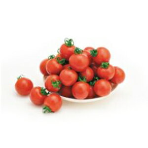 ~jg}g  y ق܂ z 500 ( ~jg}g̎ )