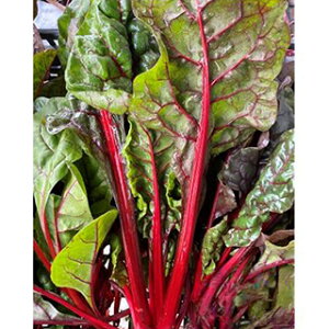 n[u  y XCX`[h@bh2io[u`[hj z  ( n[u̎ )